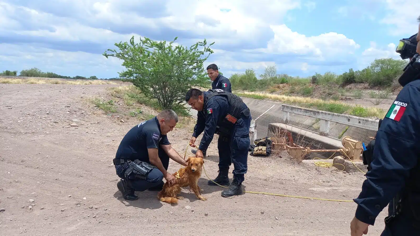 Agentes policiacos desatando a uno de los perritos rescatados