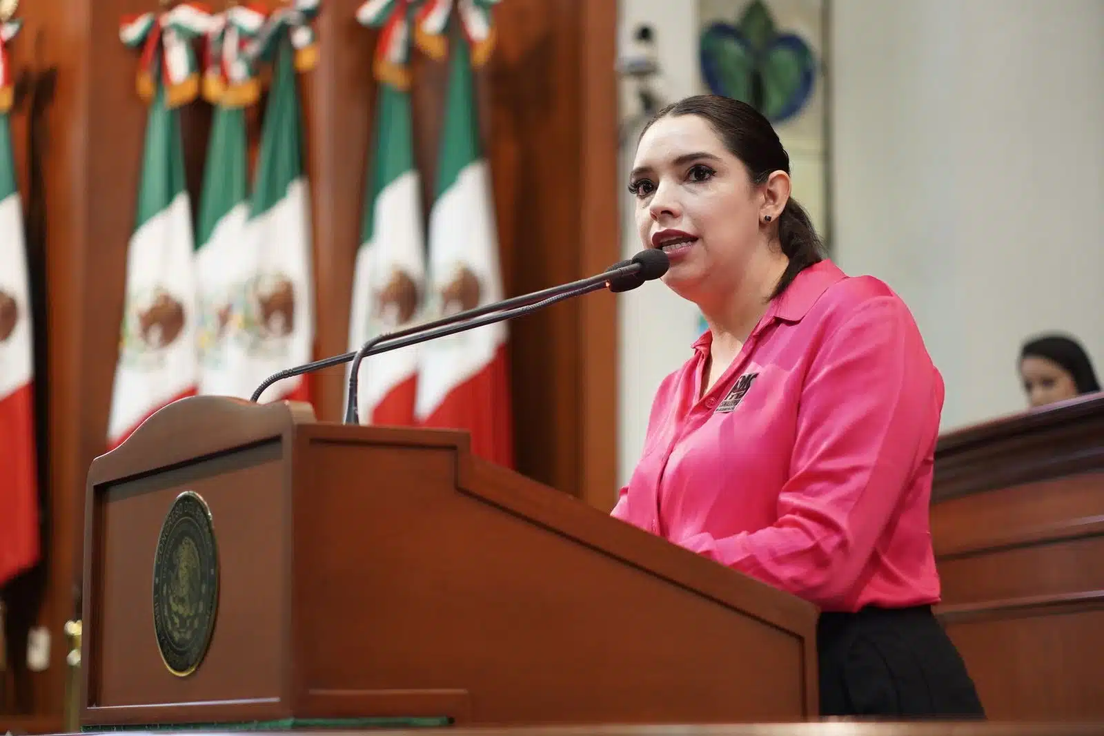 Cinthia Valenzuela Langarica en el Congreso