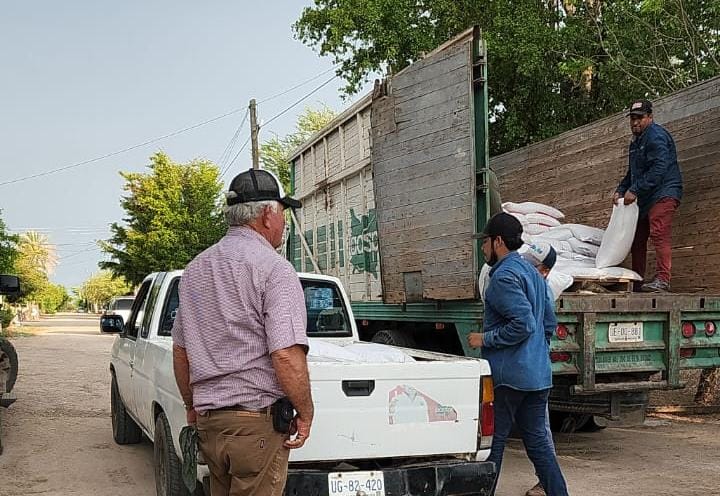 Entregan costales con semillas de sorgo a productores