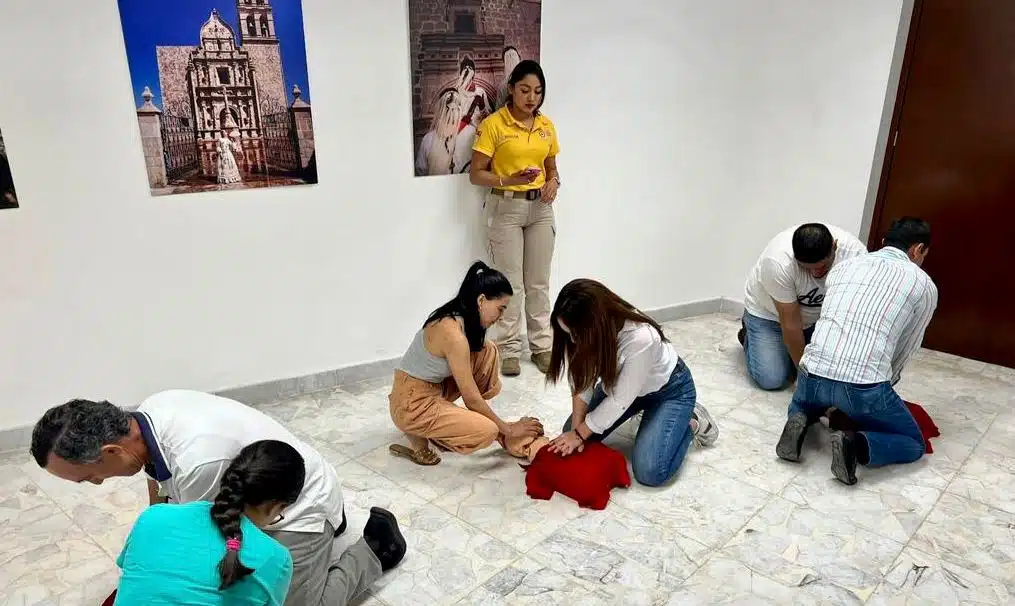 Actividades en curso de Capta