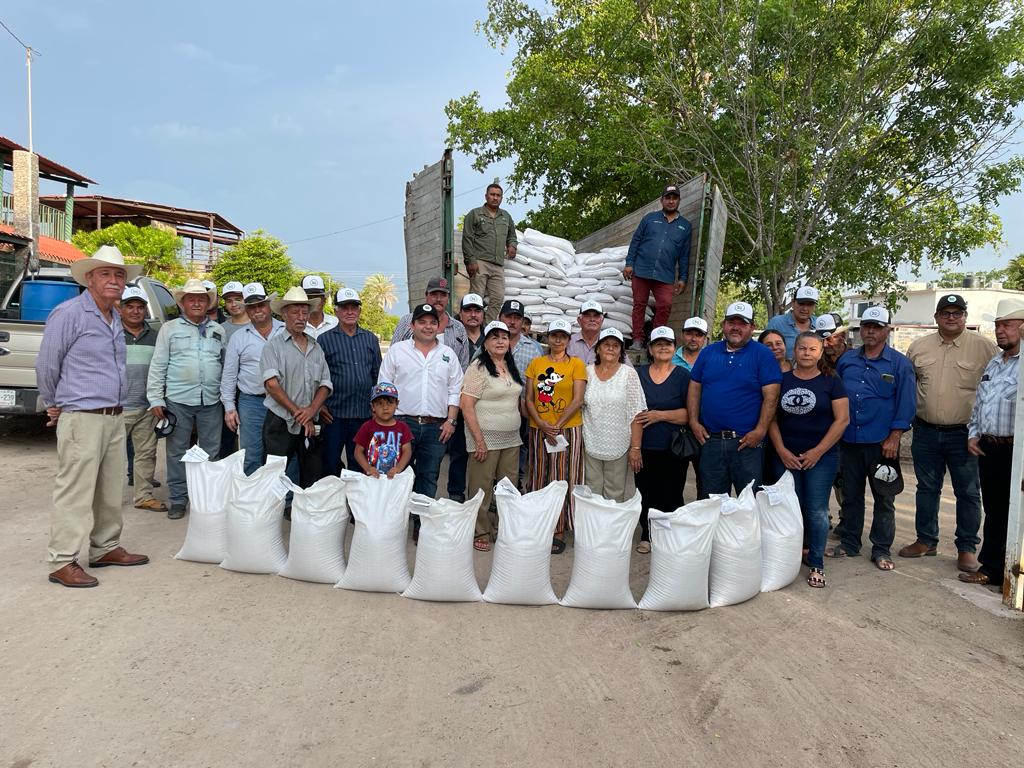 Entregan costales con semillas de sorgo a productores