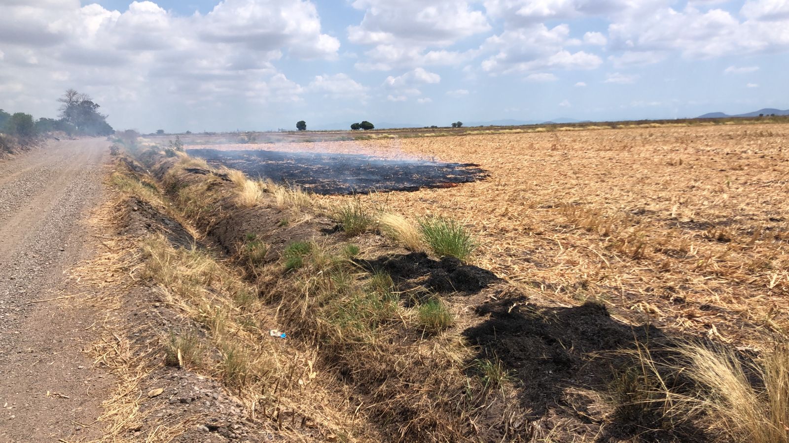 Soca de maíz incendiada