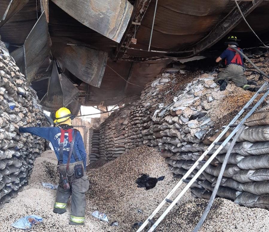 Personal de Bomberos al interior de la bodega de garbanzo libre de fuego