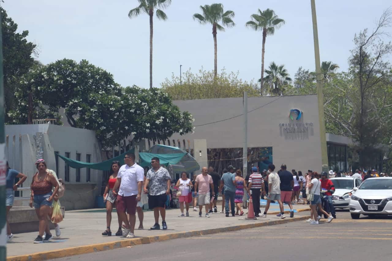 Reabrirán pingüinario y show de lobos marinos, en acuario Mar de Cortes
