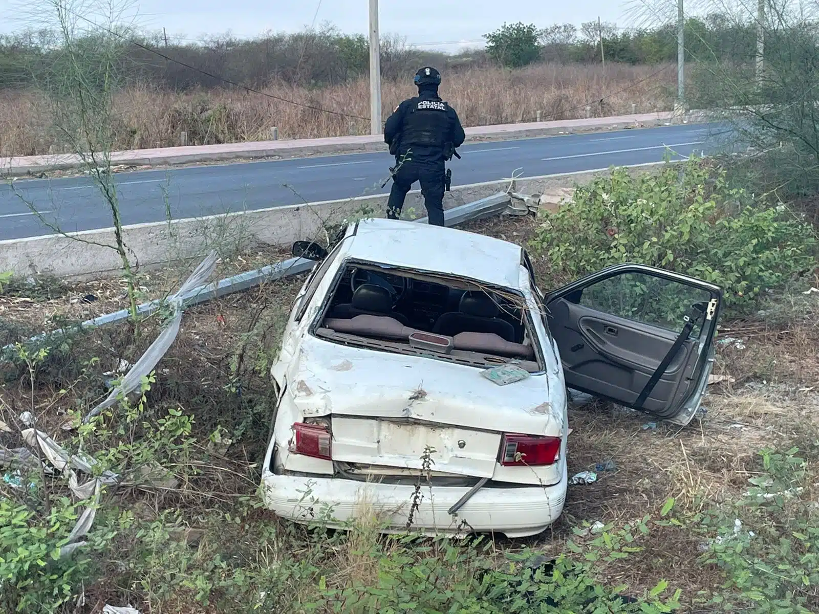 Un carro color blanco con la puerta del copiloto abierta chocado, postes de luz, uno tumbado, plantas tipos arbustos, carretera y una persona de espaldas