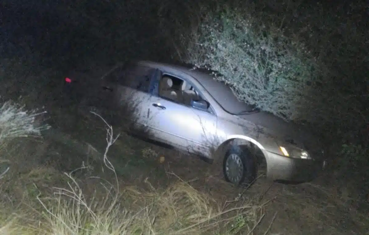 Un carro entre las ramas