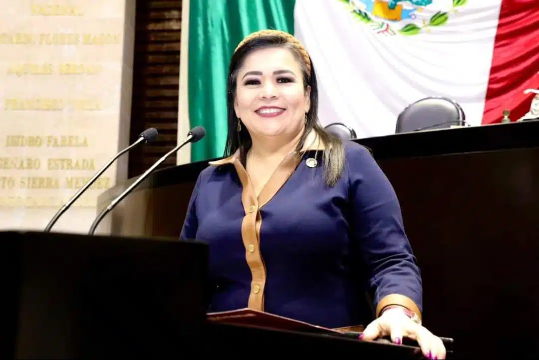 Ana Ayala Leyva, diputada federal por Morena