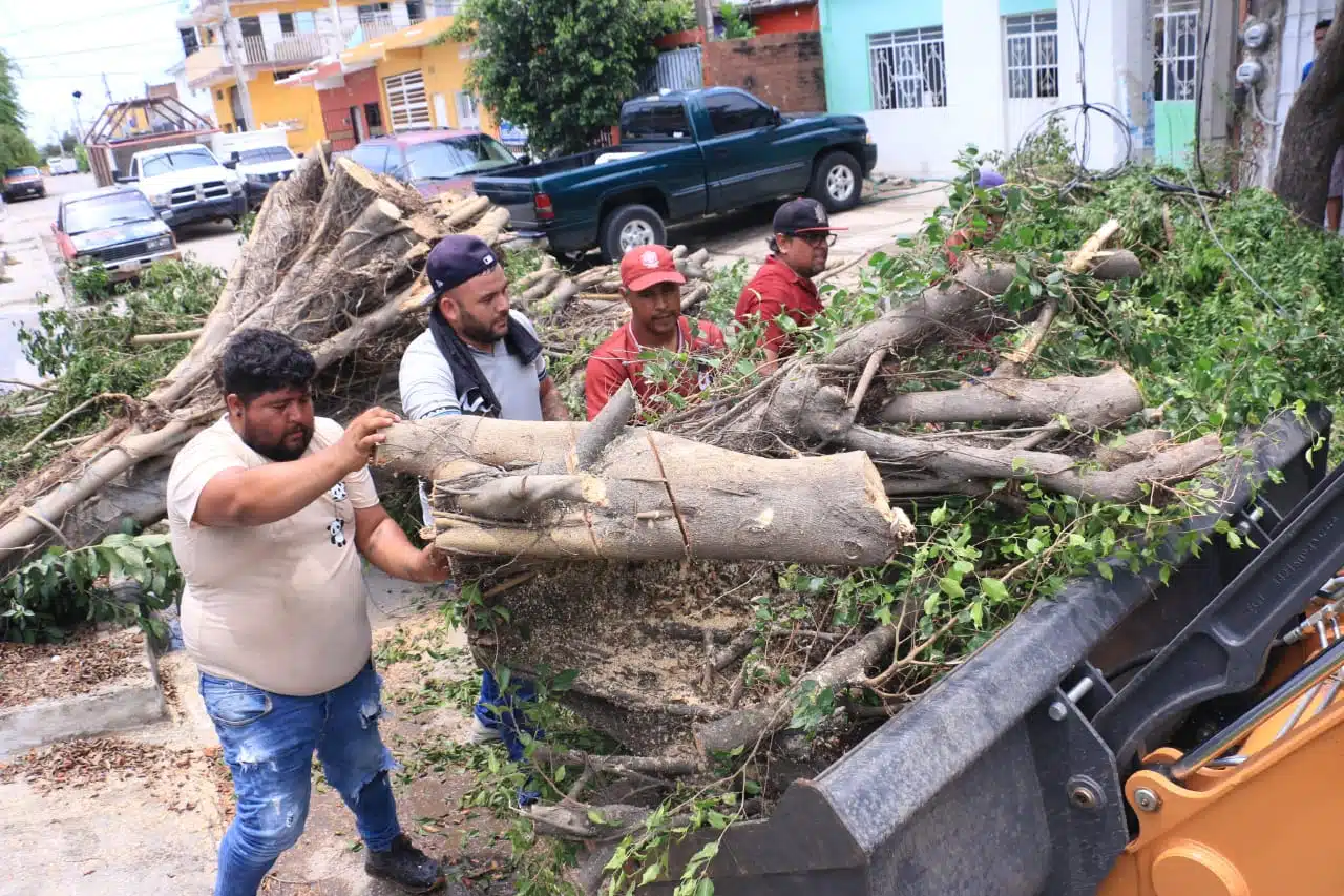Un total de 112 árboles fueron derribados por los fuertes vientos.