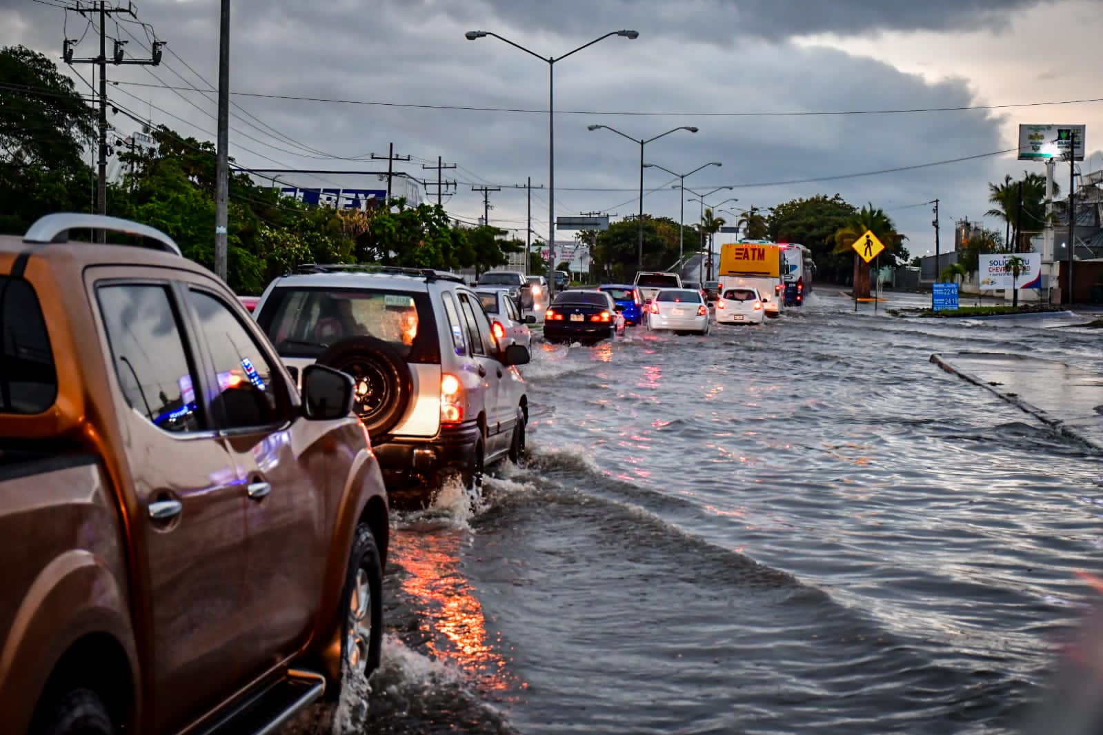 Carros transitando por una avenida inundada y árboles al fondo