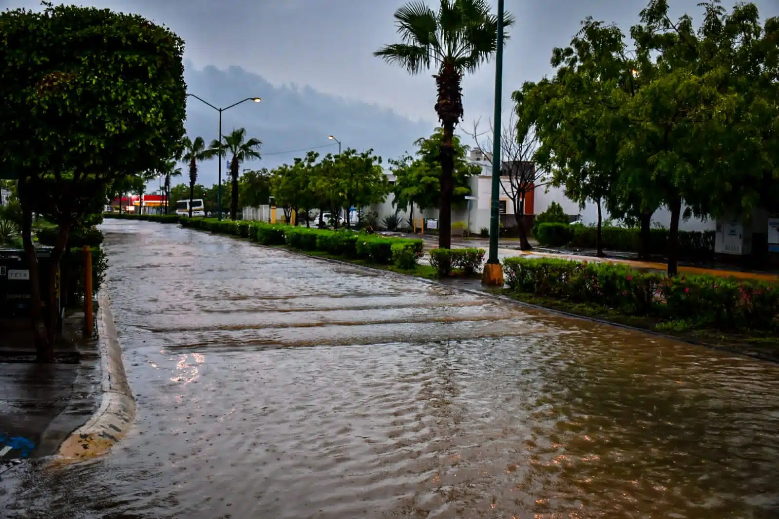 Avenida inundada, camellón central, árboles y palmeras