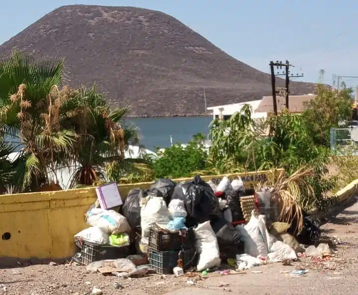 vecinos de Topolobampo se quejan de la basura