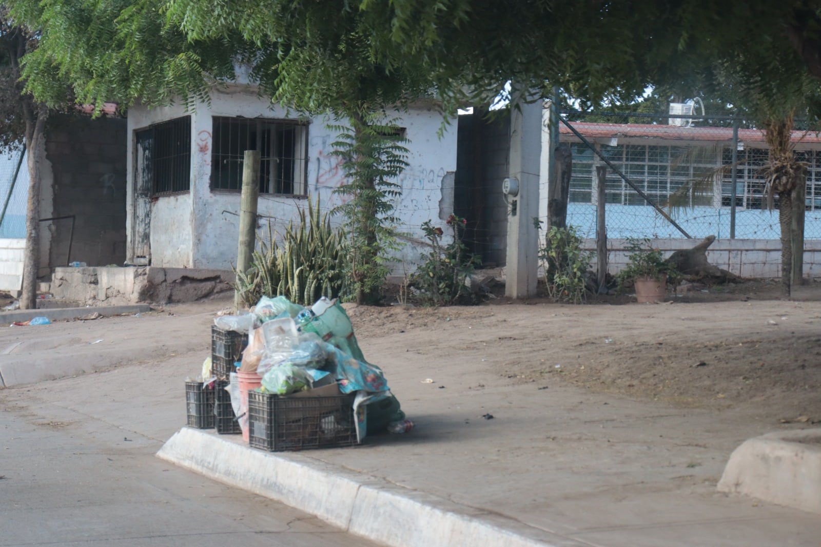 Jabas, botes y bolsas de basura en la banqueta