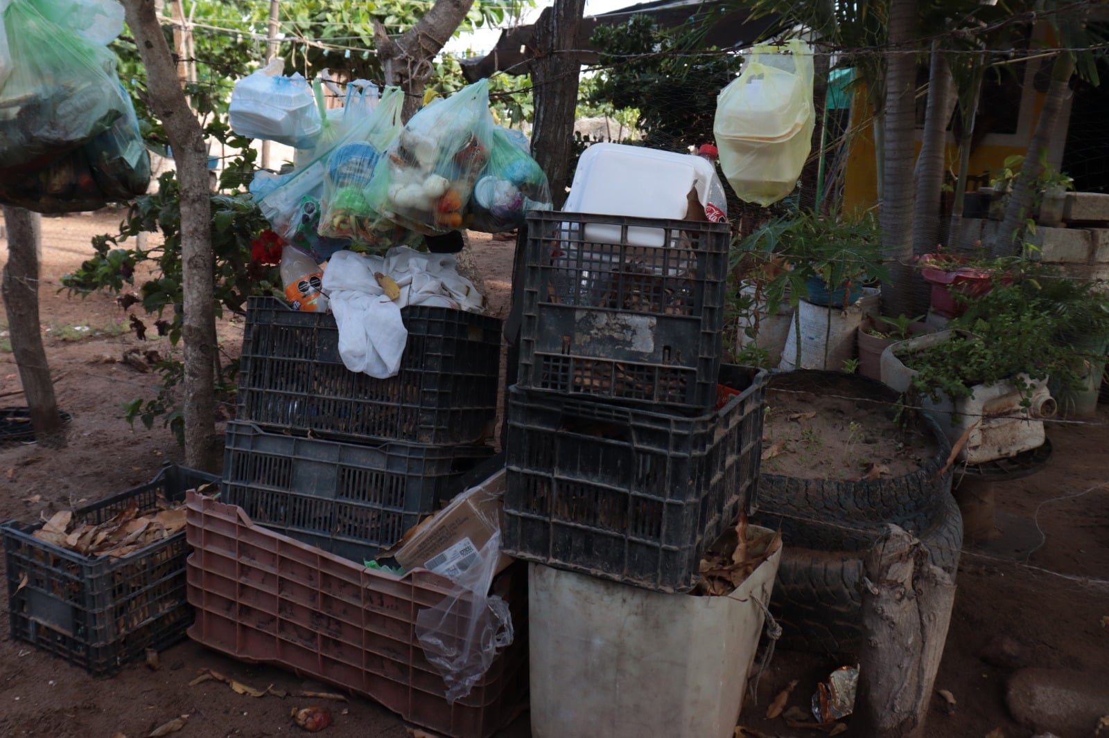 Jabas, botes y bolsas de basura