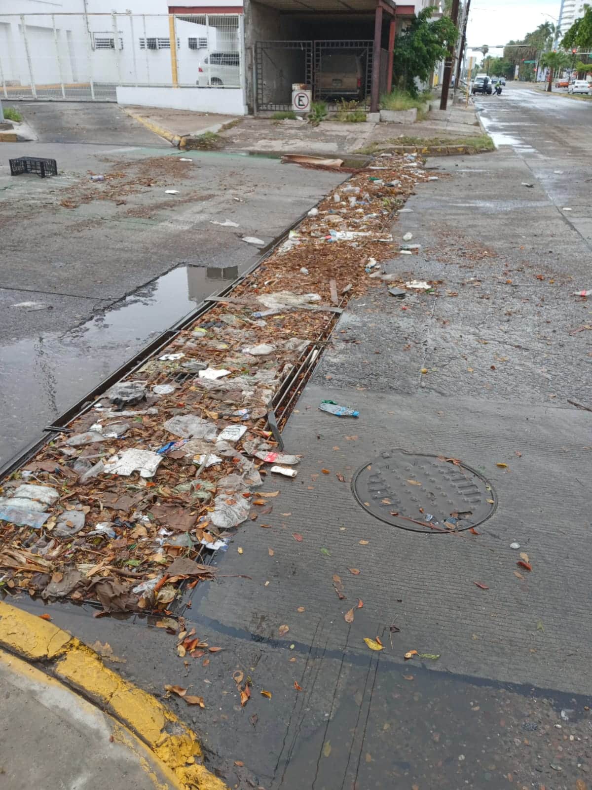 Basura, calle, alcantarilla y agua