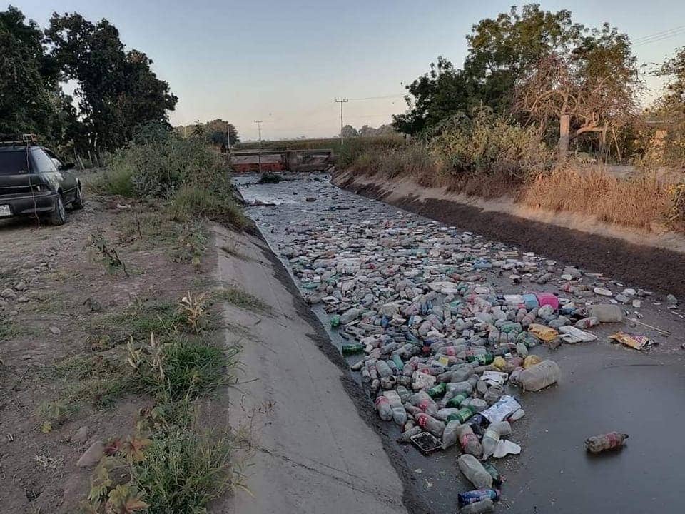Basura en drenaje de Guasave