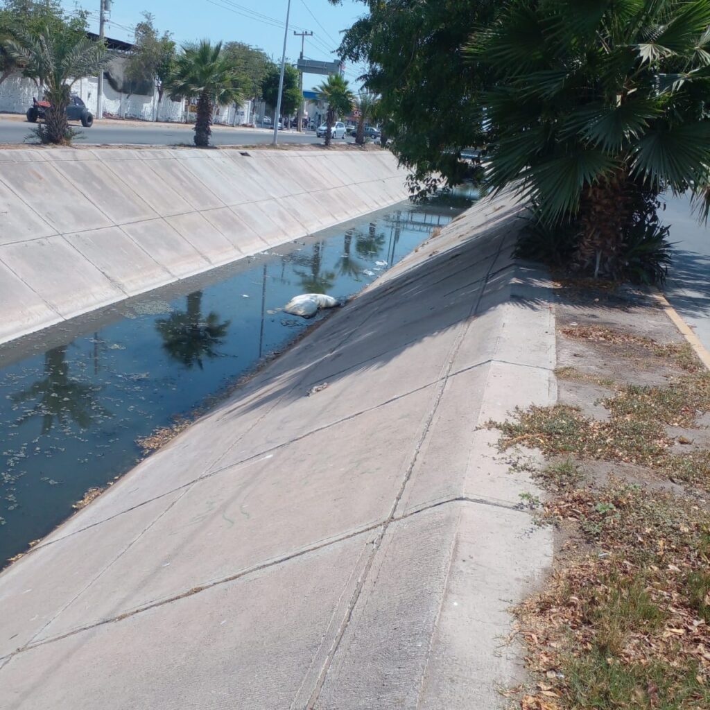 Basura en canales de Ahome