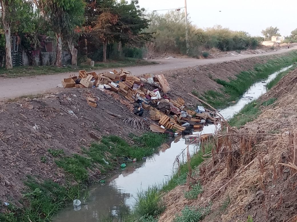 Basura en dren de Ahome