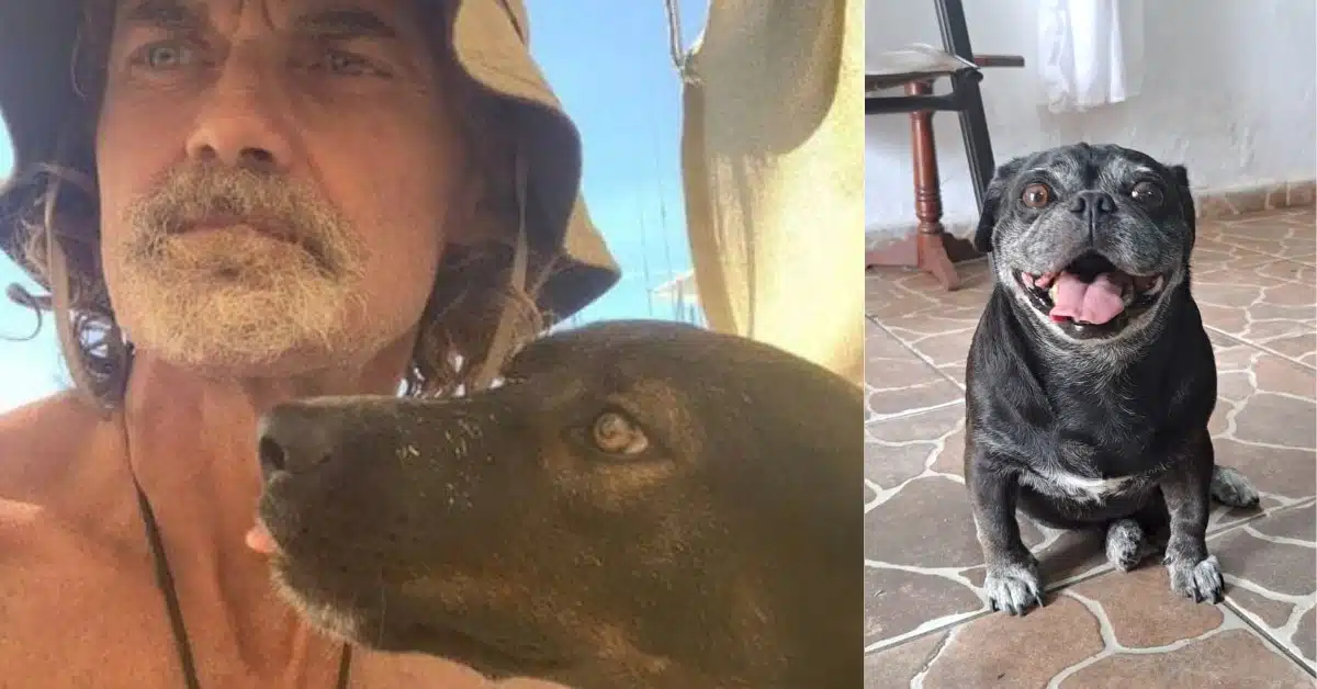 “Bella” tiene un nuevo hogar y una amorosa familia que la espera en la ciudad de Mazatlán.