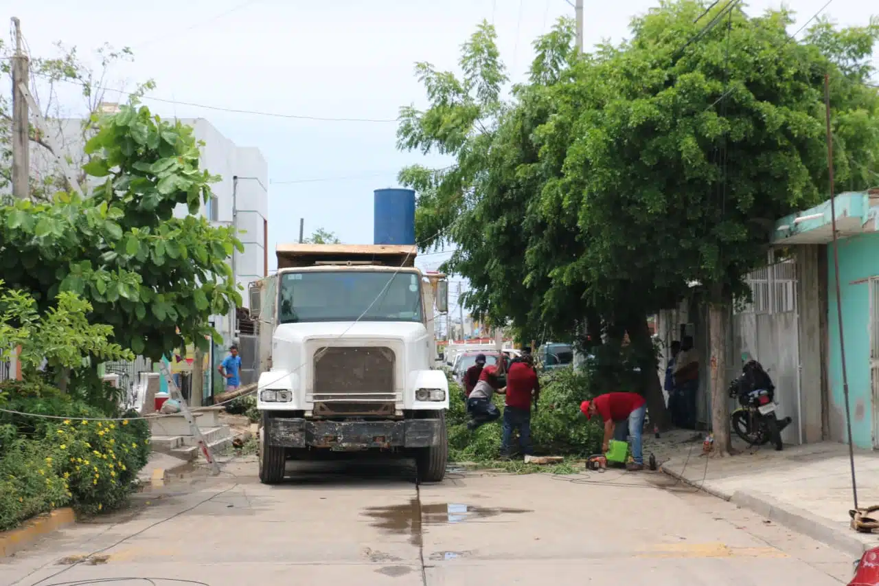 mazatlán sigue afectado por tromba del fin de semana.