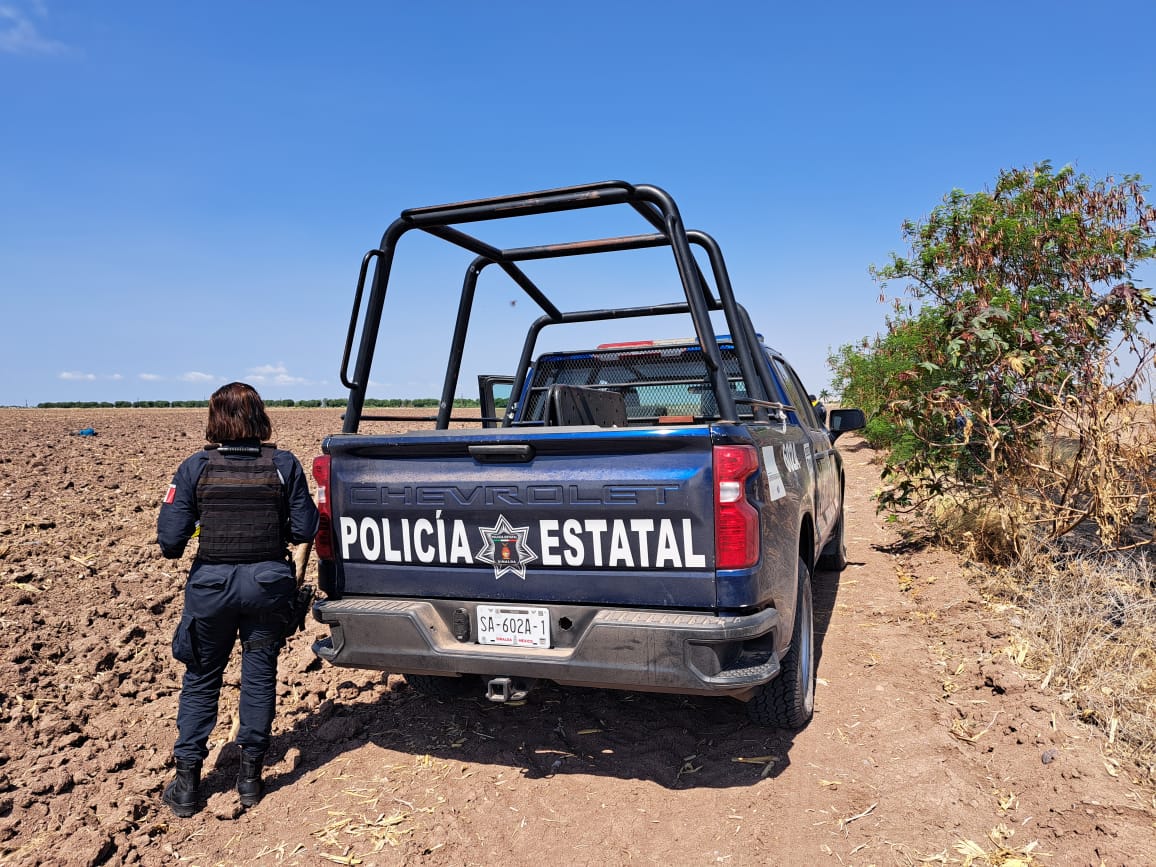 Cadáveres en parcela