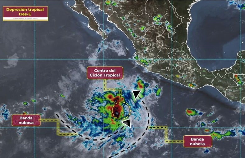 Pronóstico del SMN