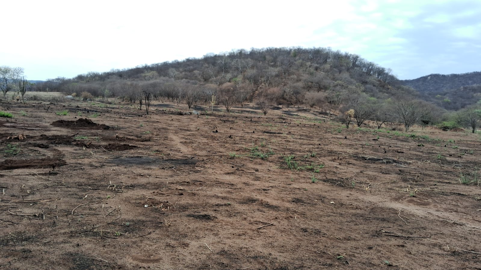 Campos sin cultivo de temporal