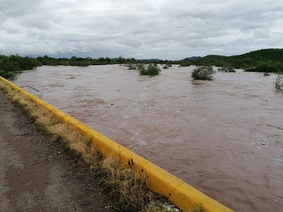 Agua, ramas árboles y una barda pequeña