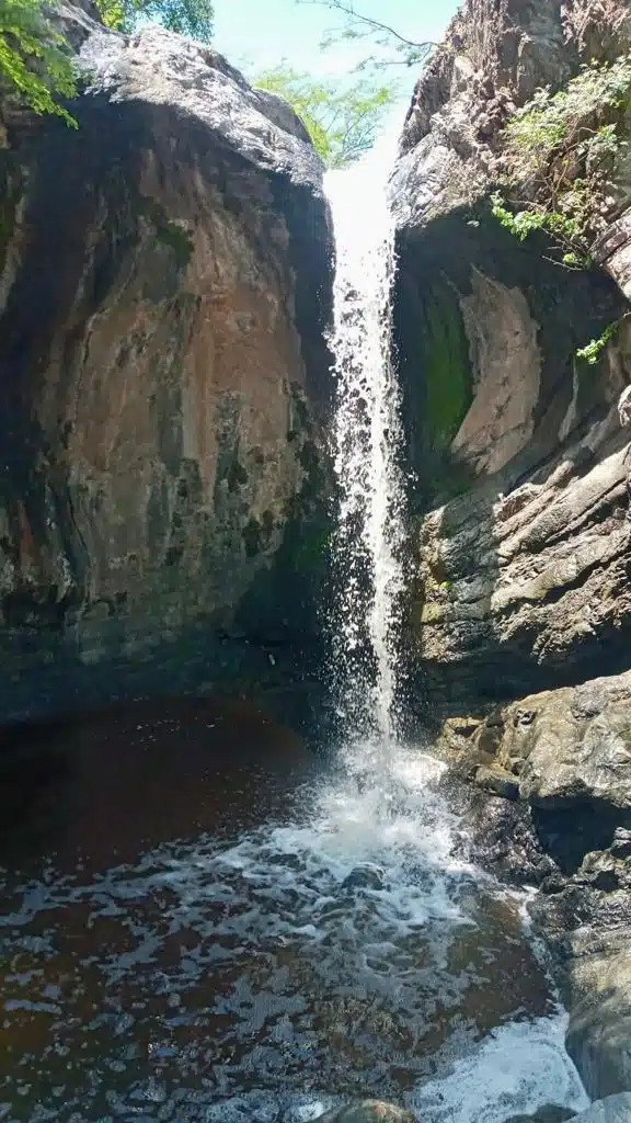 Una cascada de agua, rocas y ramas de árboles