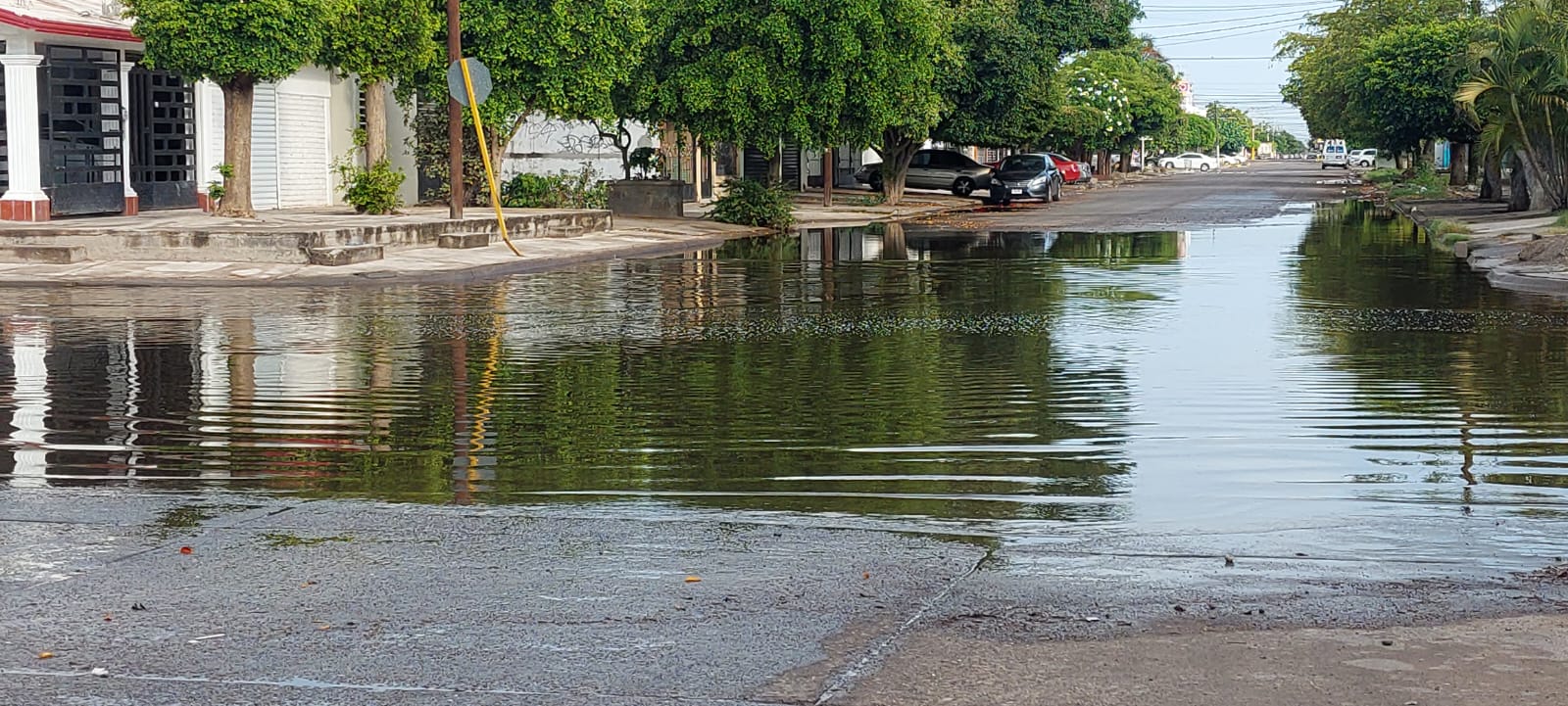 Charco de agua pluvial en Los Mochis