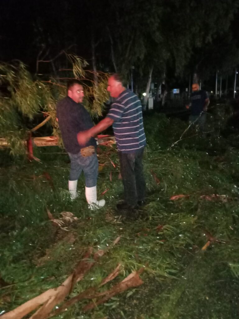 Cuadrillas de Servicios Públicos de Ahome retiran árboles caídos tras tormenta