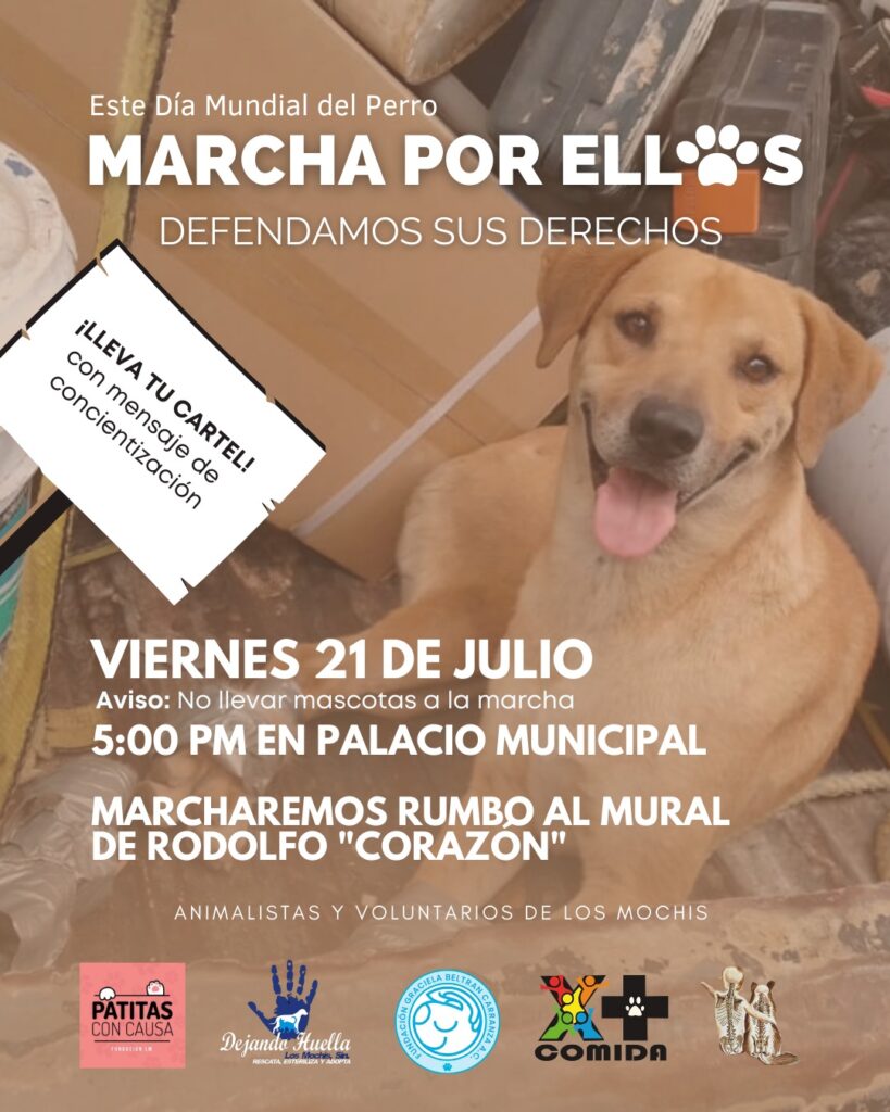 Por el día Día Mundial del Perro se llevará a cabo una marcha este viernes 21 de julio en el Palacio Municipal y concluirá en el teatro ingenio. 