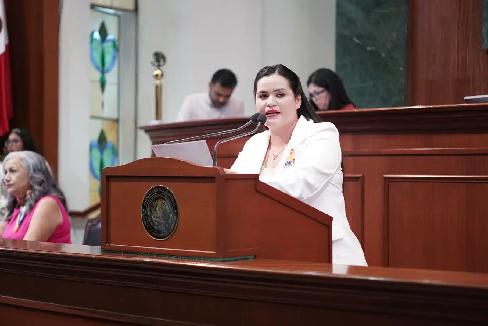 Diputada Viridiana Camacho Millán en el Pleno del Congreso