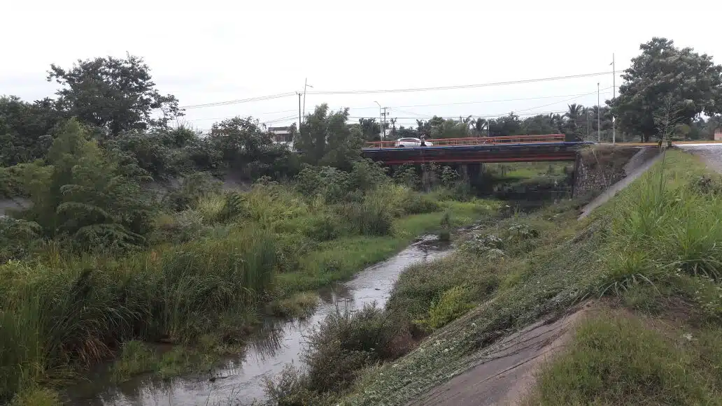 Agua, árboles, sácate verde, puente y un carro pasándolo