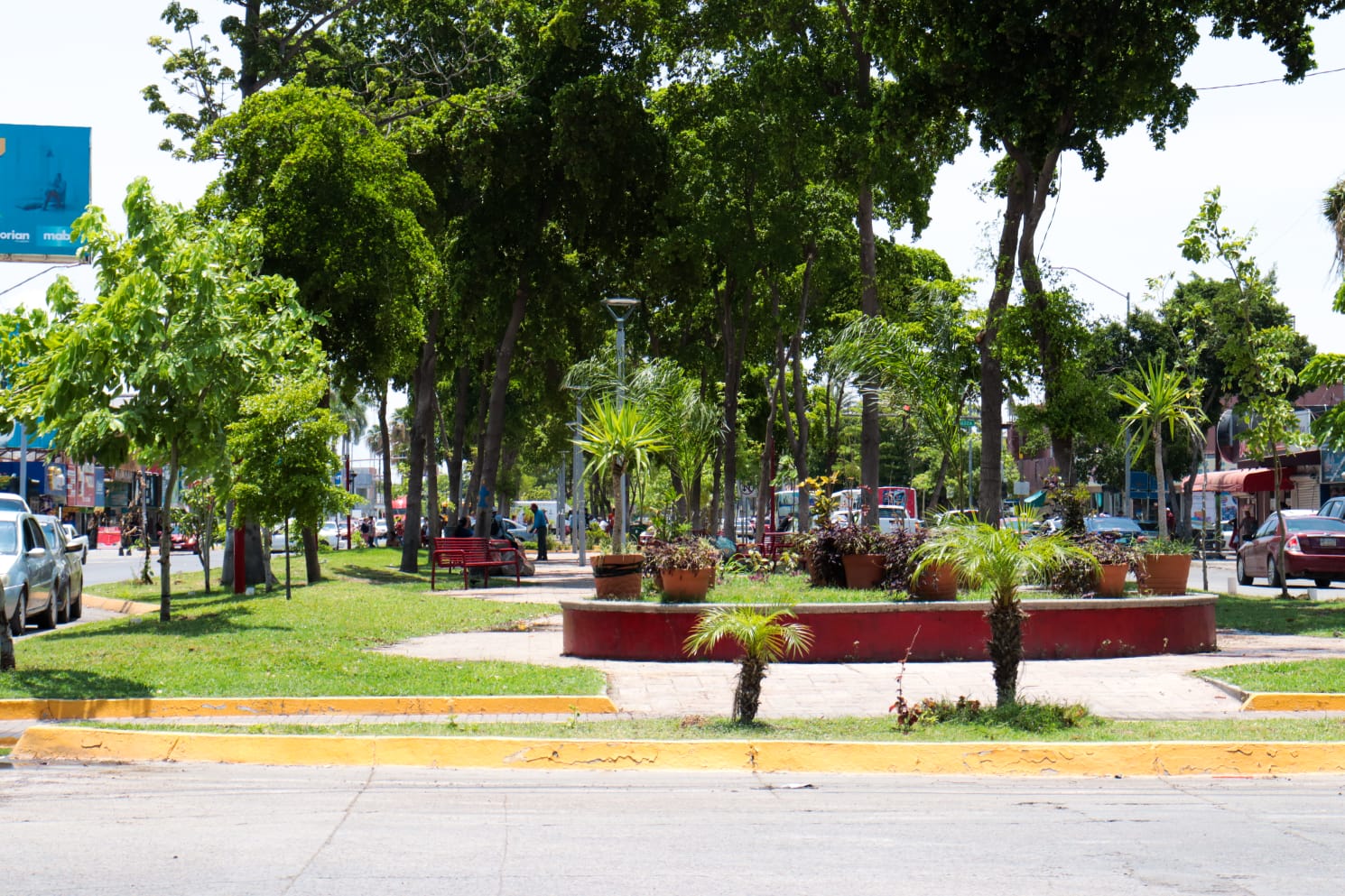 SERVICIOS PUBLICOS DE AHOME EMBELLECE LOS CAMELLONES DE LOS MOCHIS