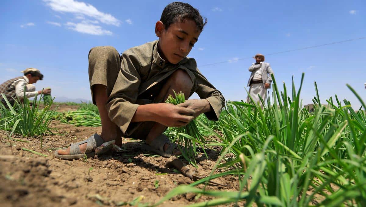En el mundo, más de 735 millones de personas pasan hambre; subió la cifra tras la pandemia