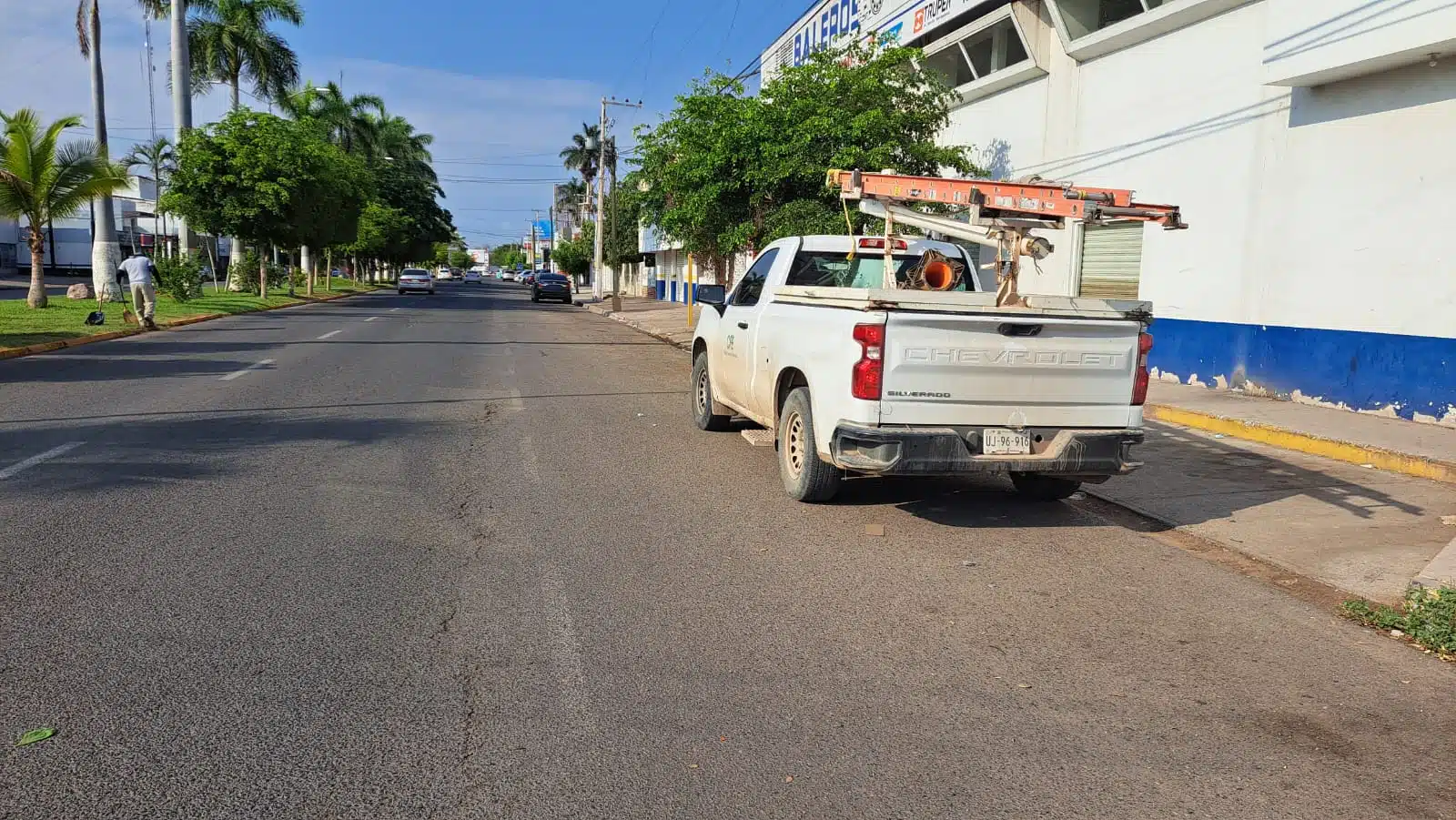 Una camioneta de la CFE estacionada, carros, calle pavimentada, árboles, palmeras, césped y una persona podándolo