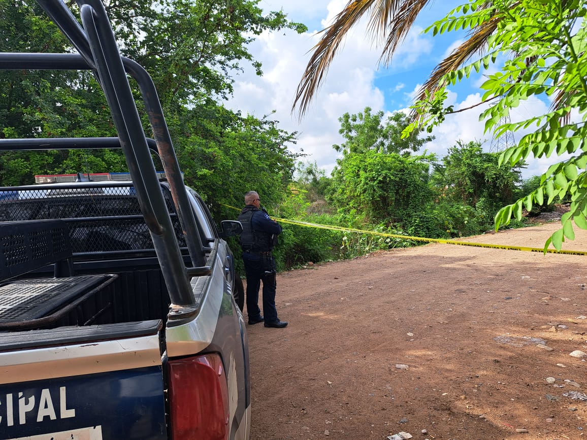 Parte de una camioneta de Policía Municipal, cinta amarilla delimitando el área de un crimen, árboles, palmeras y cielo con nubes