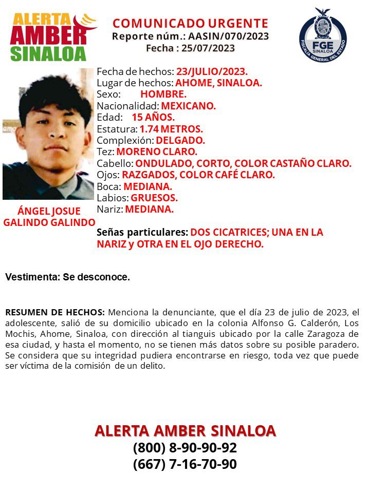 Ficha de búsqueda