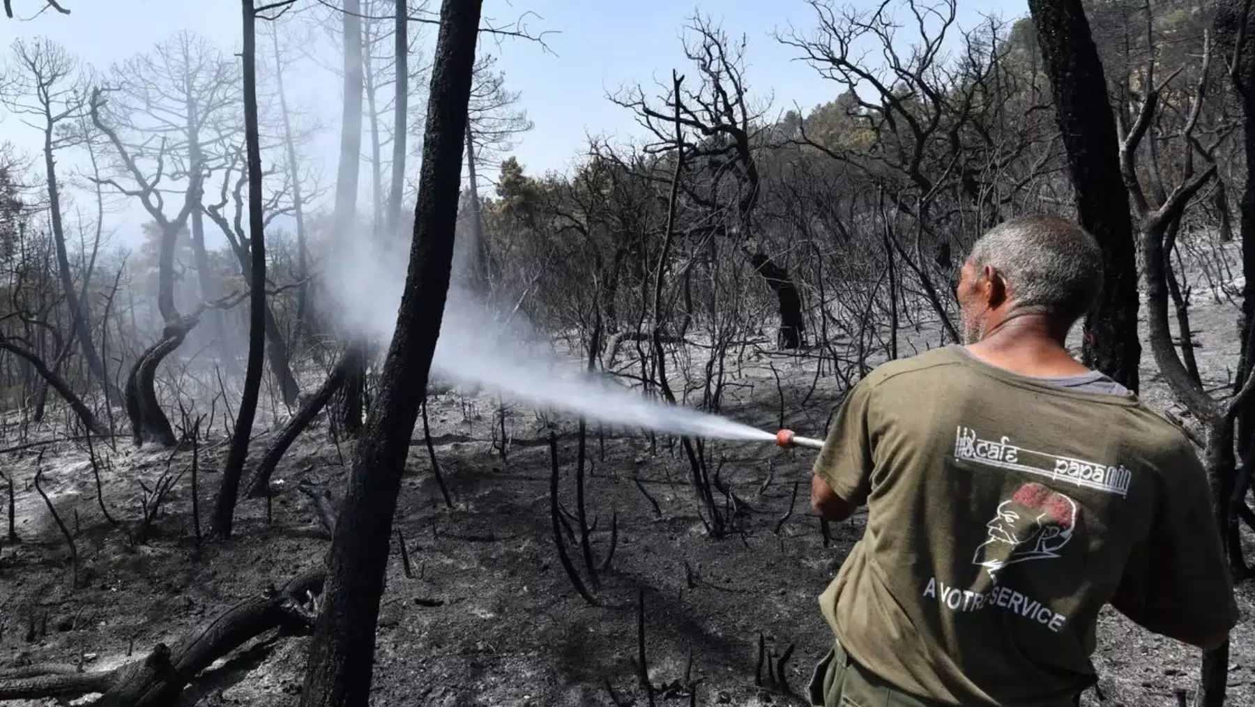 Bosque incendiado por las llamas en África