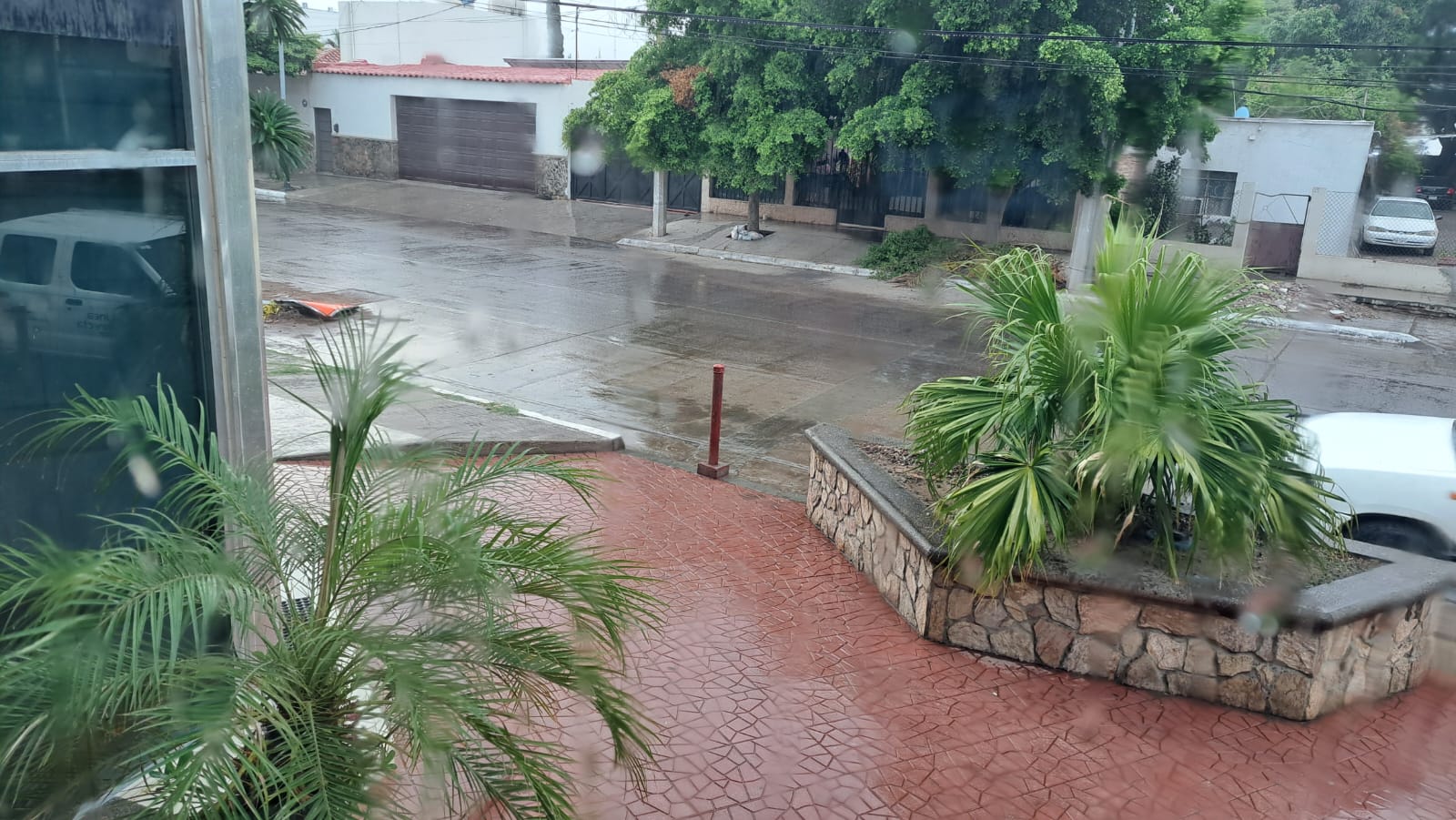 Pavimento, escaleras y banquera mojada, palmeras, cassa y árboles al fondo