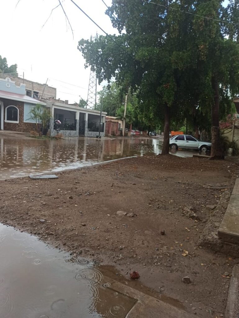 Calle inundada, casas, árboles y un carro estacionado