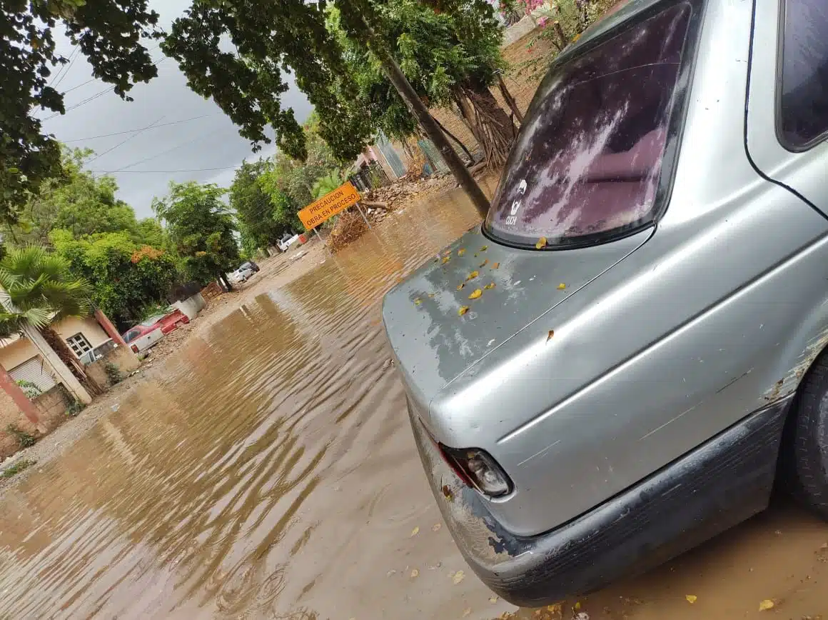 Calle inundada, casas, árboles y la parte trasera de un carro estacionado