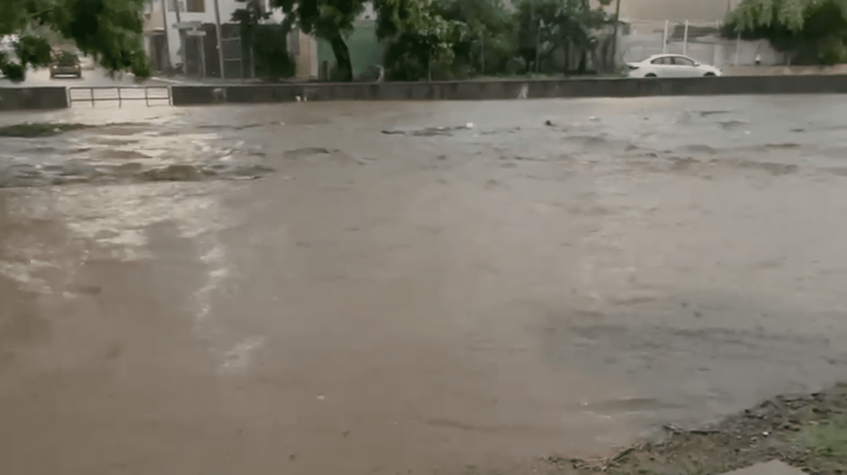 Agua escurriendo, árboles, casas y un carro estacionado