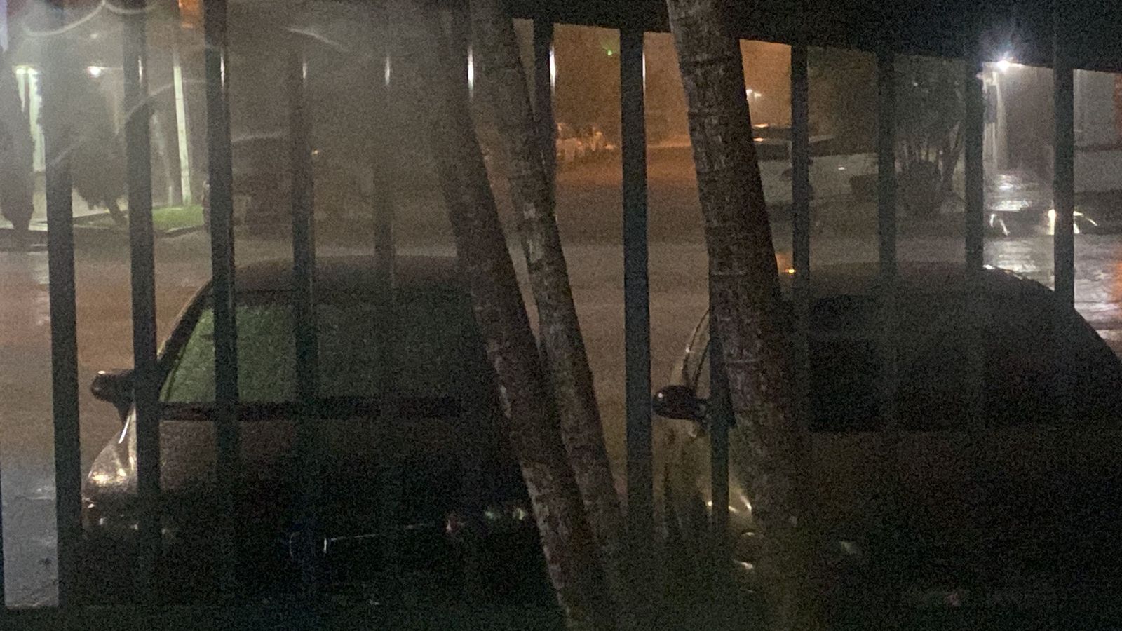 Las precipitaciones vienen acompañadas de fuertes vientos, truenos y rayos por