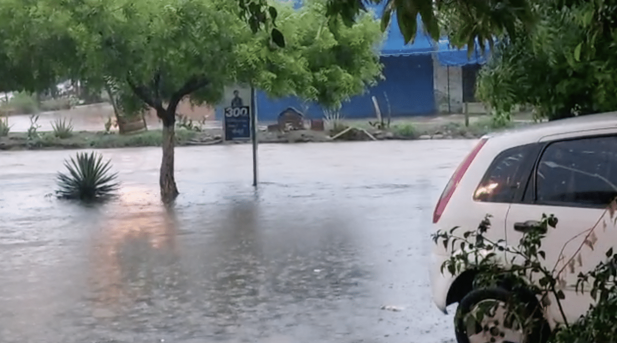 Agua escurriendo, árboles, casas y la parte trasera de un carro