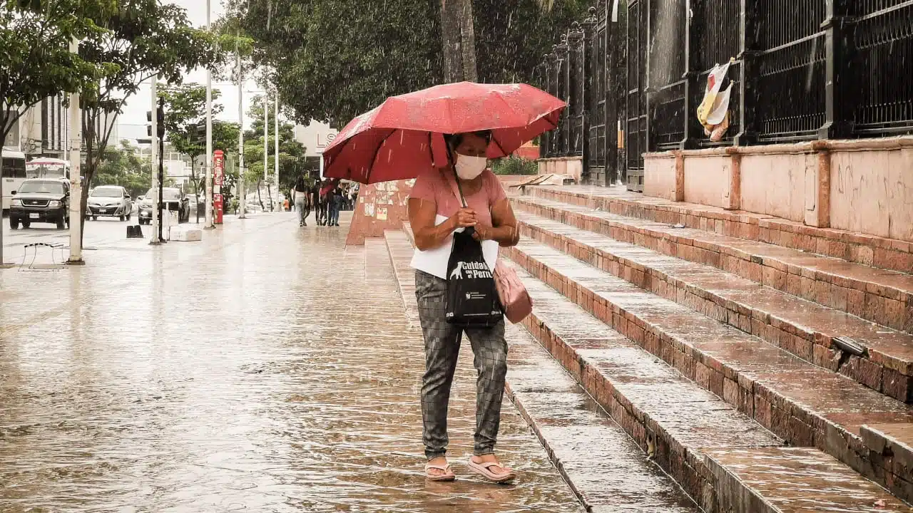 Una persona con un paraguas caminando sobre la banqueta, lluvia, pavimento mojado y árboles