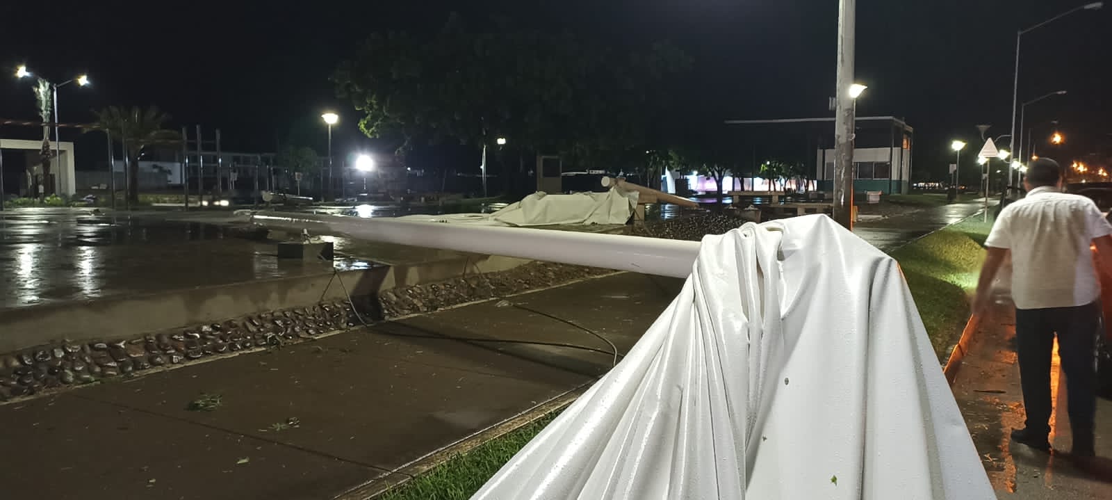 El viento derribó una luminaria en la Colonia Olímpica.