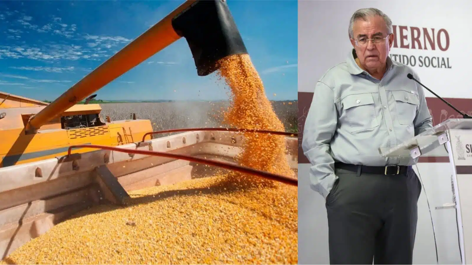 Camión lleno de grano de maíz