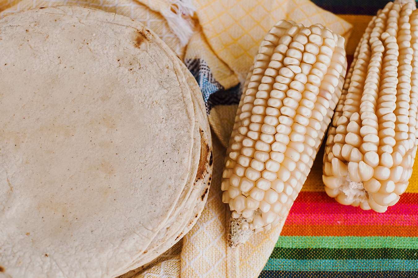 Maíz blanco y tortillas