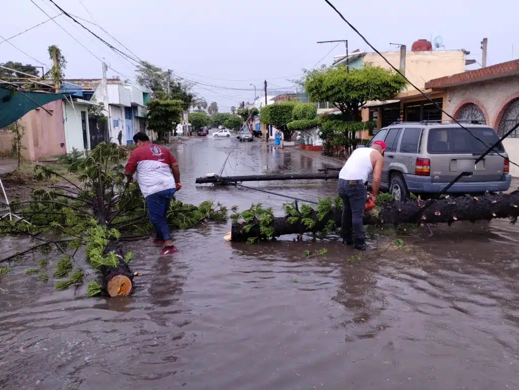 2 personas quitando un tronco de árbol que está sobre una calle son un charco de agua y una camioneta estcionada